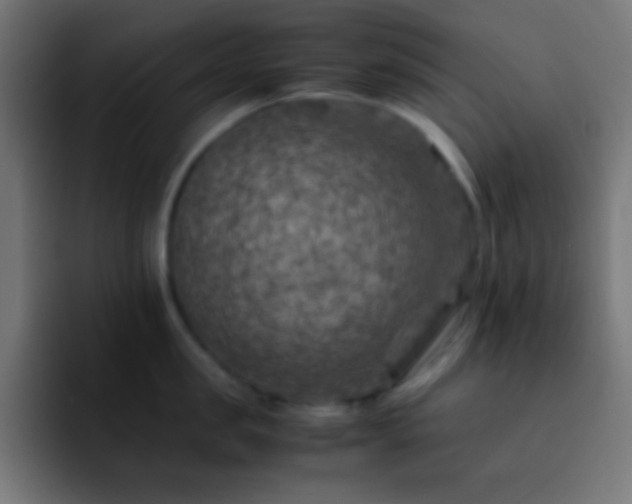 X0000093100957200710031827