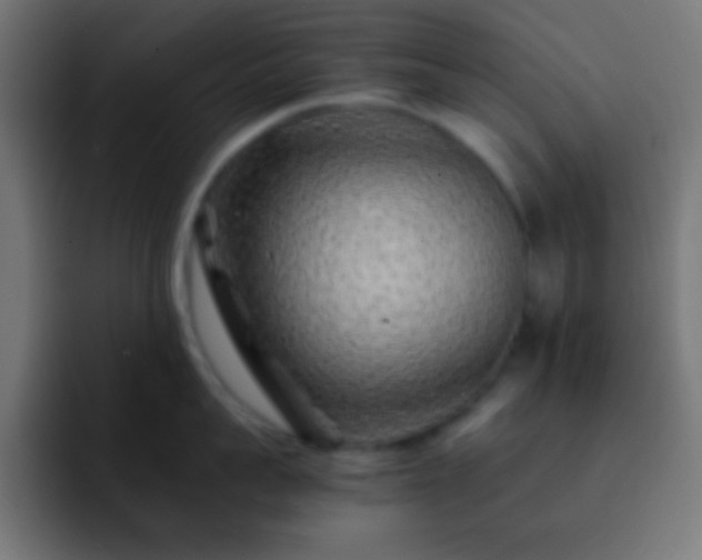 X0000093100959200710031827