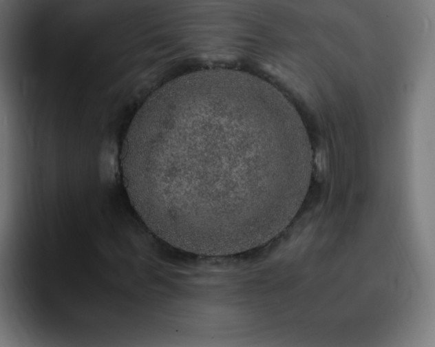 X0000093100963200710031827