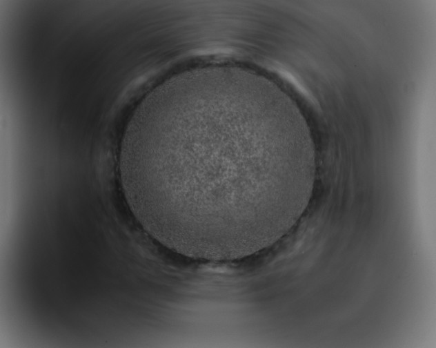 X0000093100967200710031827