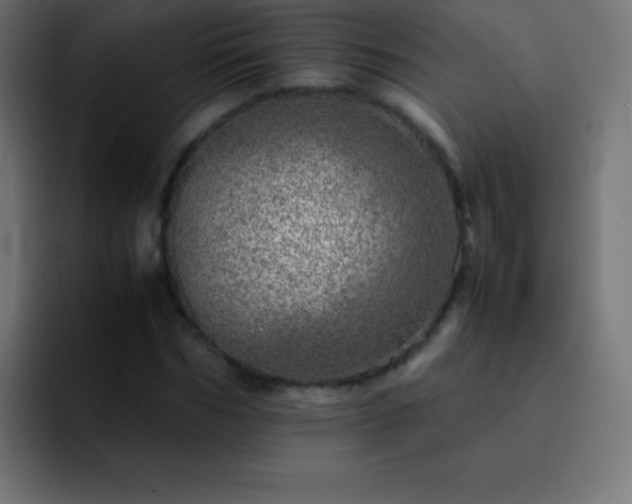 X0000093100970200710031827