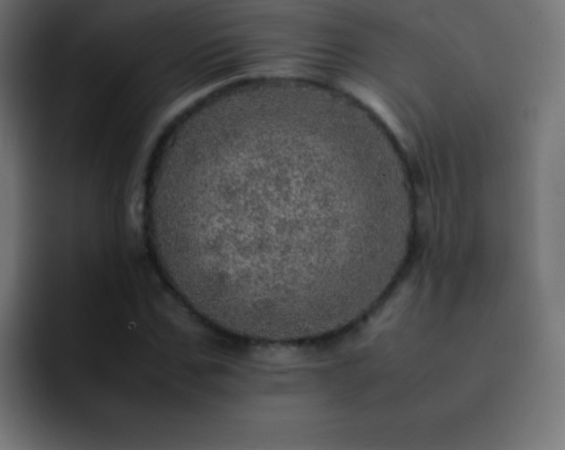 X0000093100971200710031827