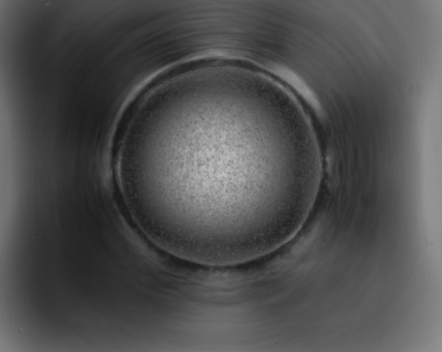 X0000093100972200710031827