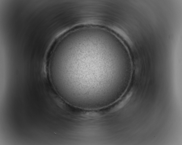 X0000093100974200710031827