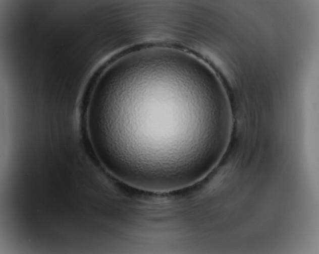X0000093100975200710031827