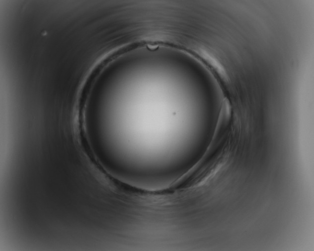 X0000093100976200710031827