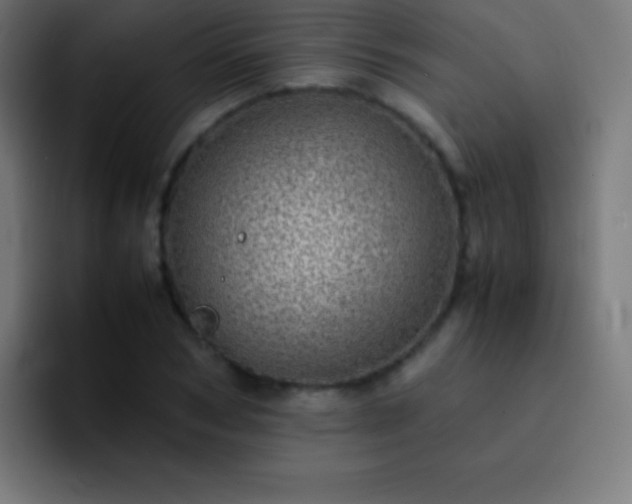 X0000093100978200710031827