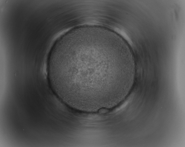 X0000093100979200710031827