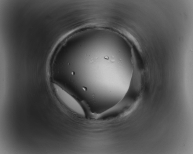 X0000093100981200710031827