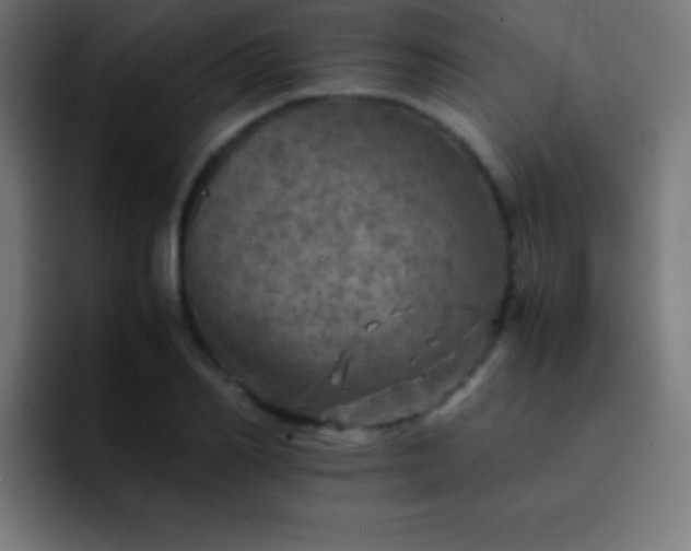 X0000093100982200710031827
