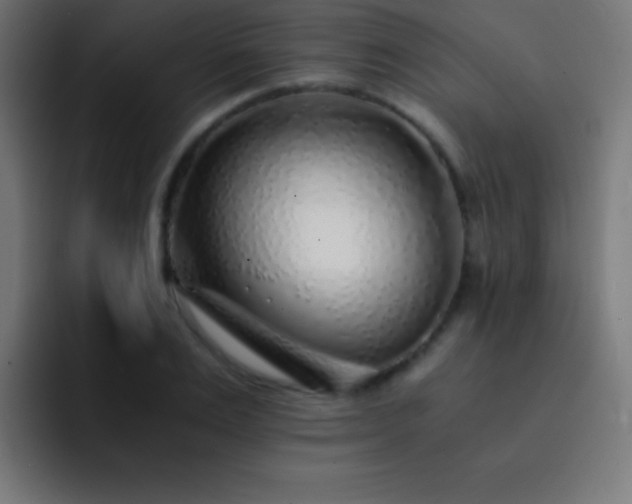 X0000093100983200710031827