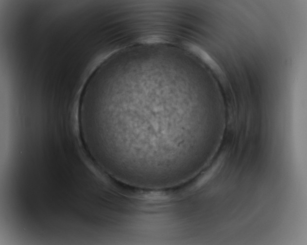 X0000093100986200710031827