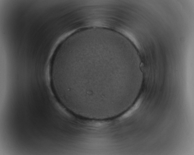 X0000093100987200710031827