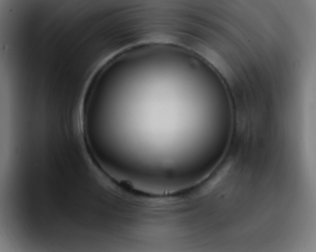 X0000093100988200710031826