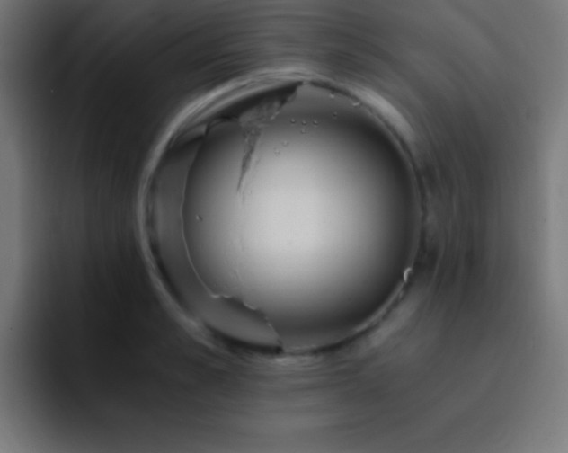X0000093100989200710031826