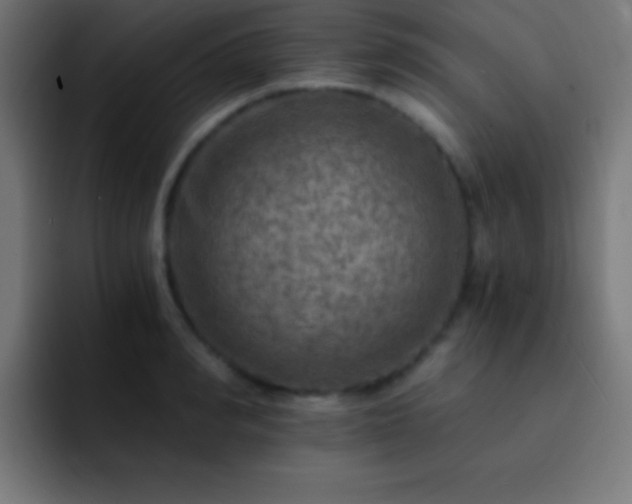 X0000093100990200710031826