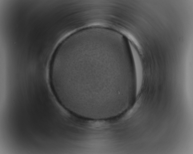 X0000093100991200710031826