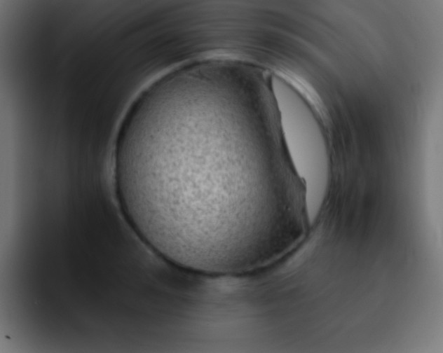 X0000093100992200710031826