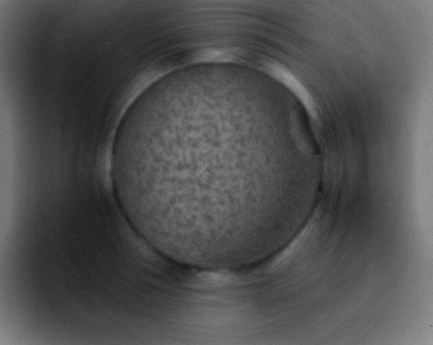 X0000093100994200710031826