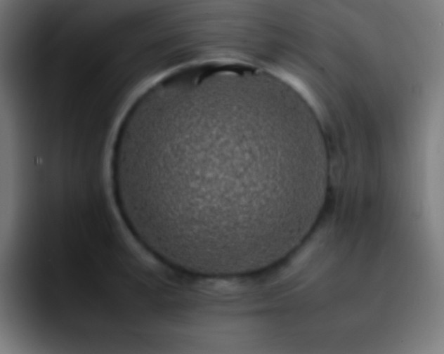 X0000093100995200710031826