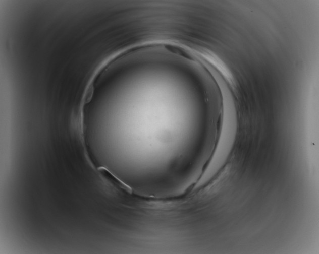 X0000093100996200710031826