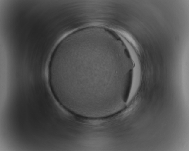 X0000093100999200710031826