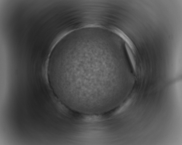 X0000093101002200710031826