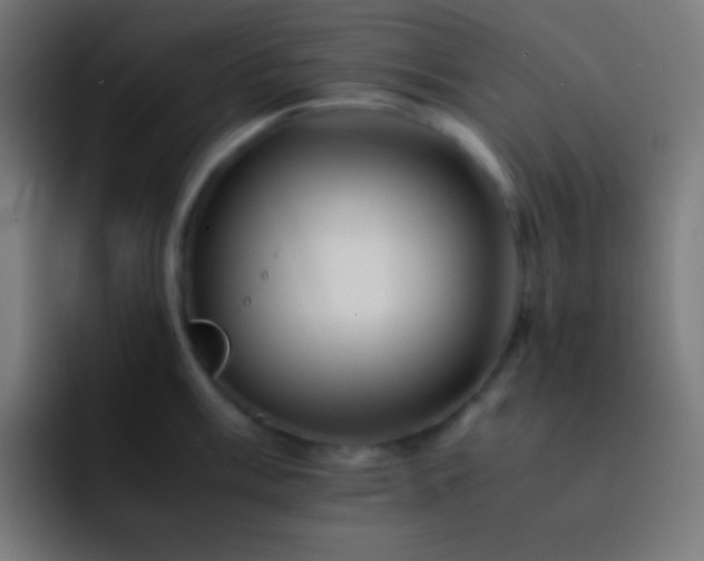 X0000093101003200710031826