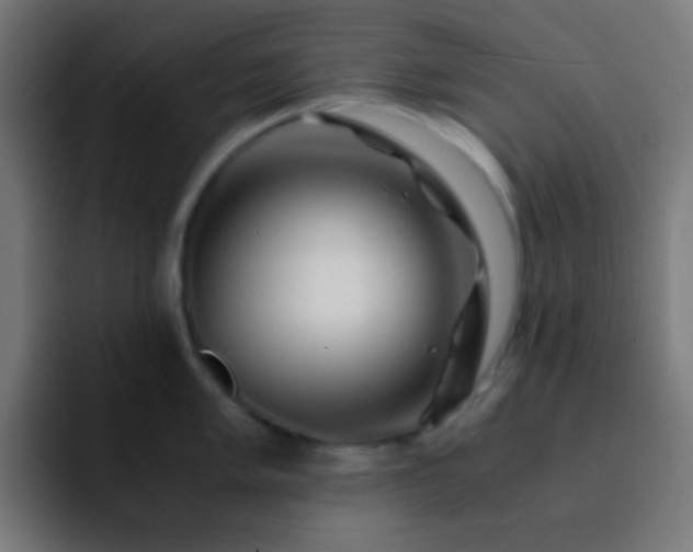 X0000093101005200710031826