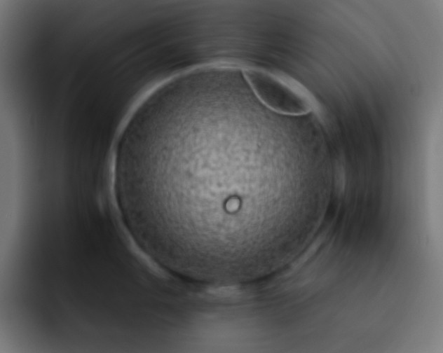X0000093101006200710031826