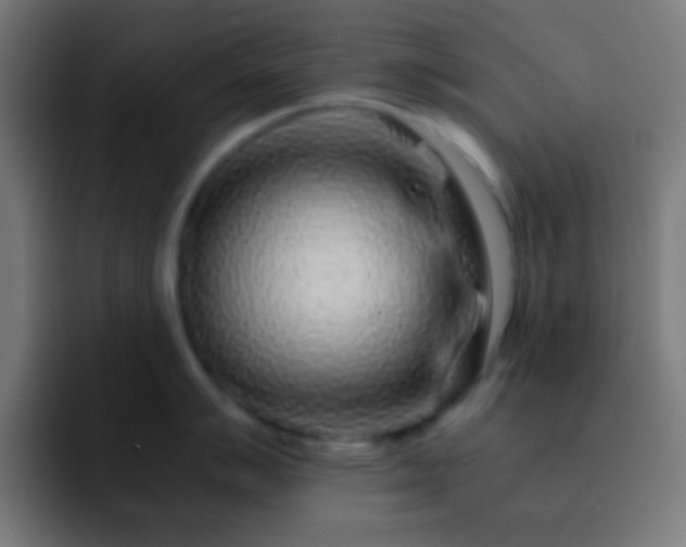 X0000093101007200710031826