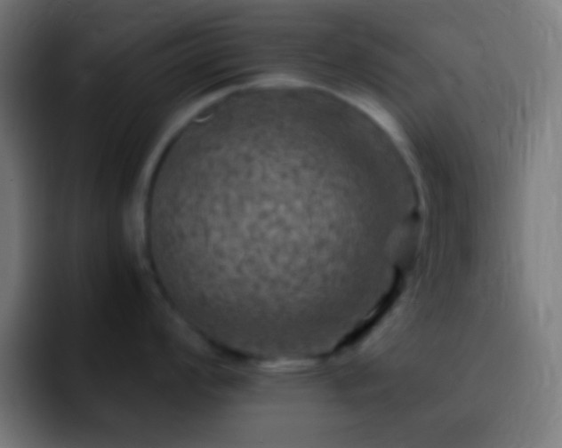 X0000093101008200710031826