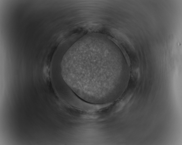 X0000093101010200710031826
