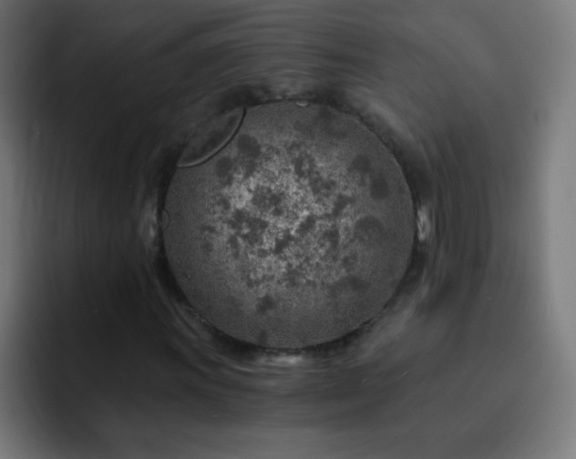 X0000093101011200710031826