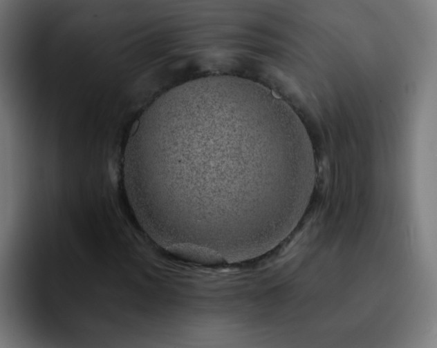 X0000093101012200710031826