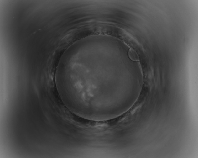 X0000093101013200710031826