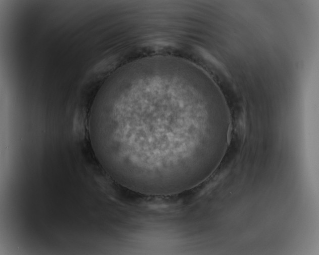 X0000093101014200710031826