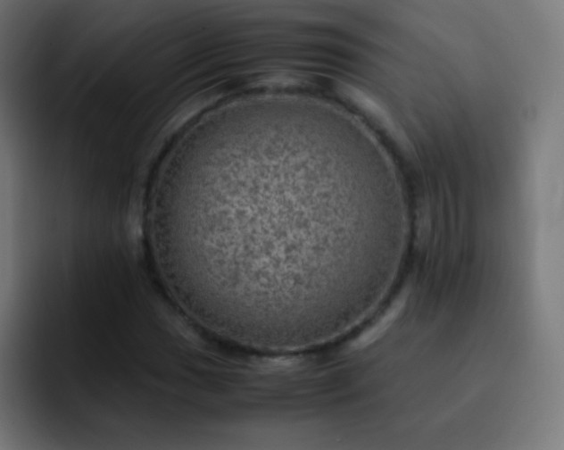 X0000093101017200710031826