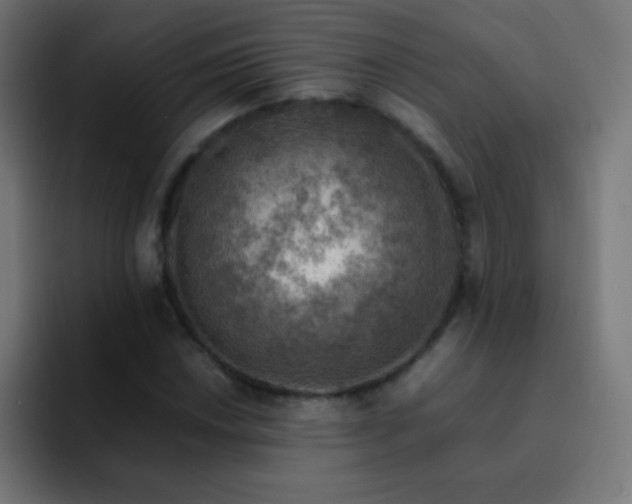 X0000093101018200710031826