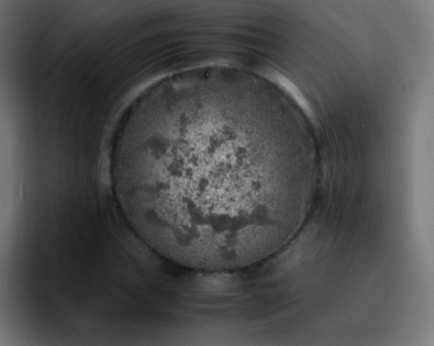 X0000093101019200710031826