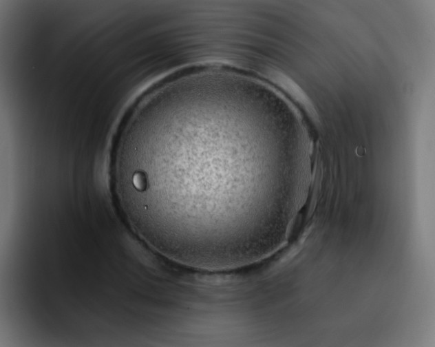 X0000093101020200710031826