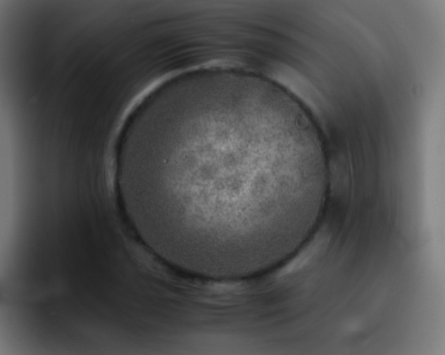 X0000093101021200710031826