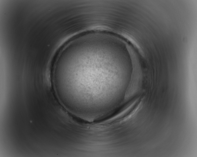 X0000093101022200710031826