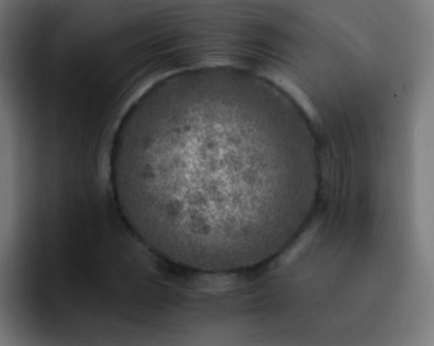 X0000093101023200710031826