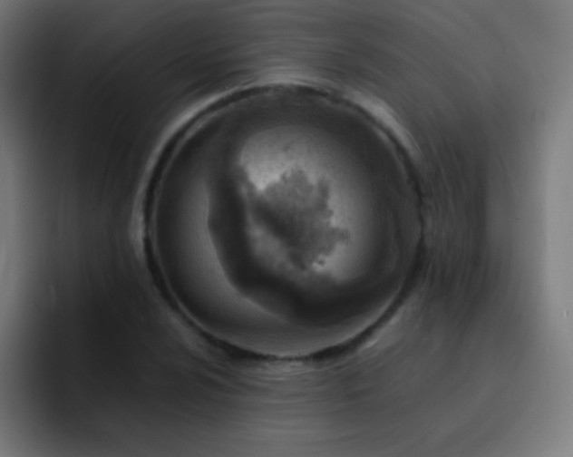 X0000093101024200710031826