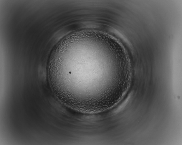 X0000093101025200710031826