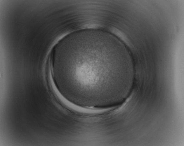 X0000093101026200710031826