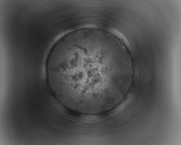 X0000093101027200710031826