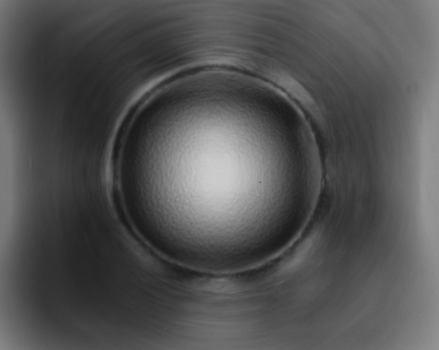 X0000093101028200710031826