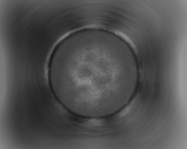X0000093101029200710031826